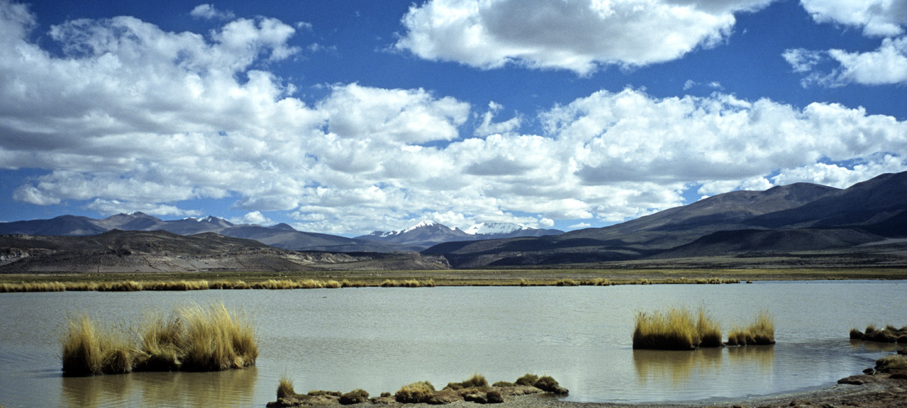 chi_2_18 laguna isluga pano.jpg - Cordillère Nord Isluga la laguna Isluga